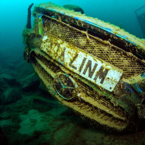 Photography by James Neal