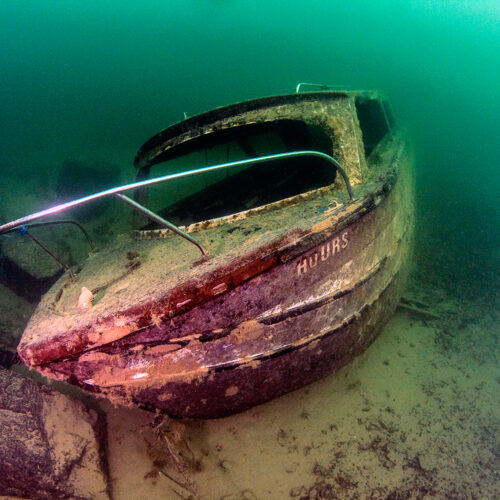 Photography by James Neal