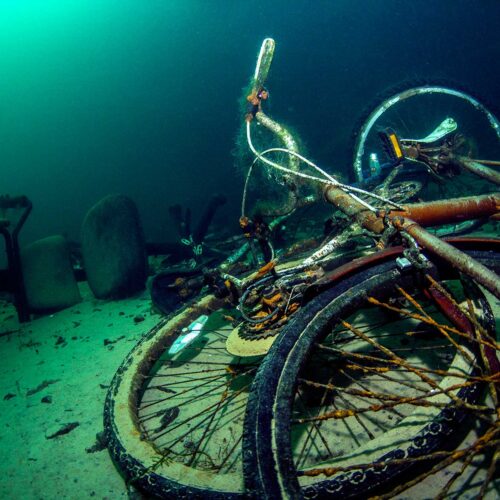 Photography by James Neal