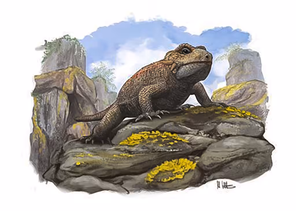 Threordatoth chasmatos is the latest in a long line of species to be discovered at Cromhall Quarry